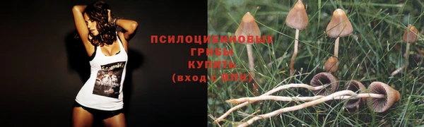 герыч Вязники