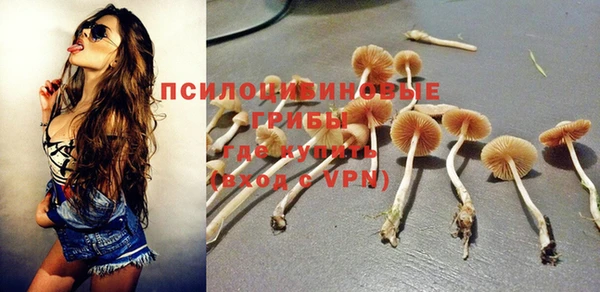 тгк Вяземский
