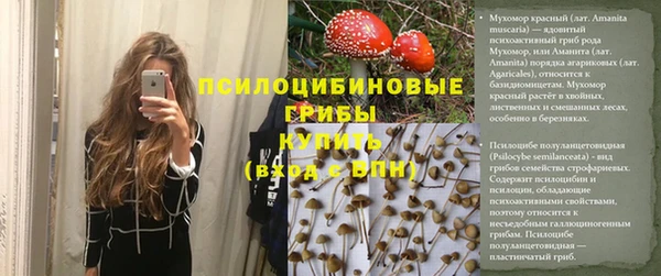 каннабис Горно-Алтайск