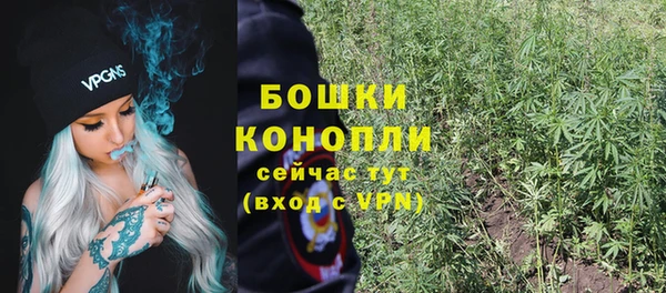 тгк Вяземский
